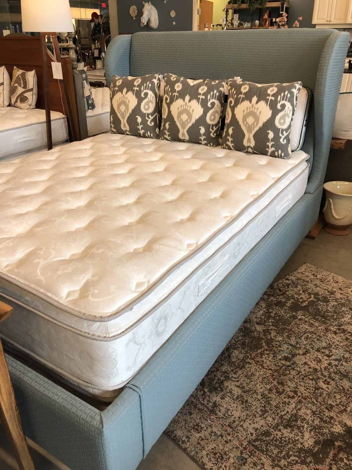 Eva Upholstered Queen Bed Holder Mattress